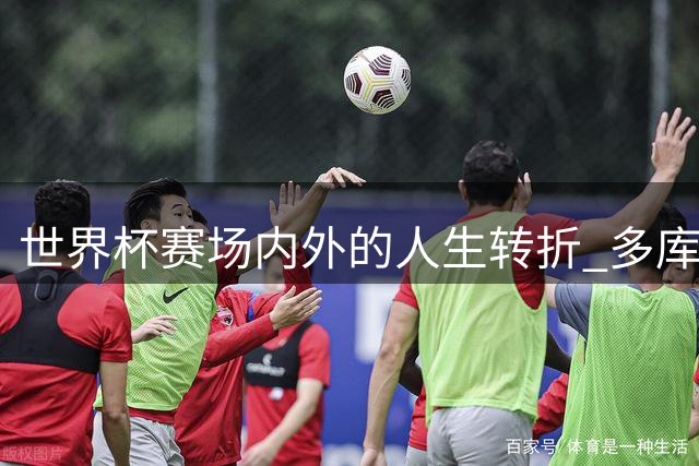 世界杯赛场内外的人生转折 多库纪录片揭开特殊历程