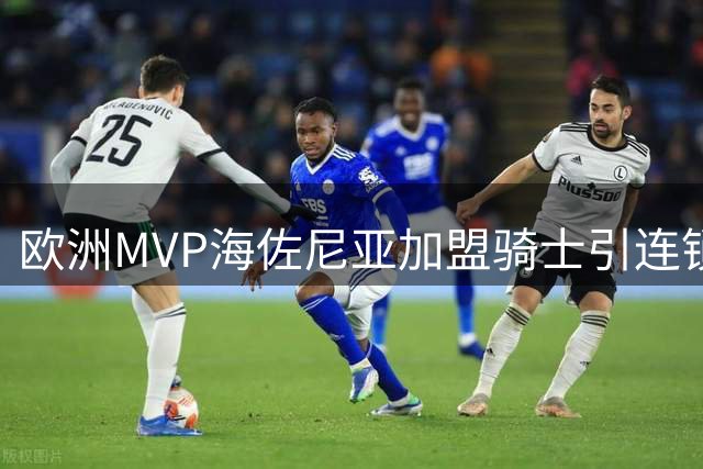 欧洲MVP海佐尼亚加盟骑士引连锁反应 湖人趁势压价库明加补强锋线