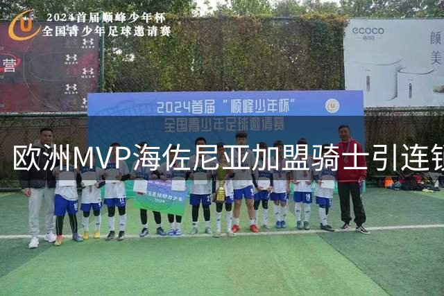 欧洲MVP海佐尼亚加盟骑士引连锁反应 湖人趁势压价库明加补强锋线